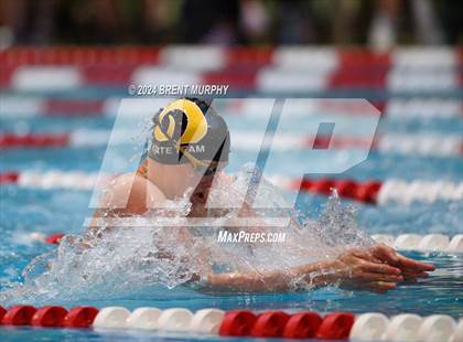 Thumbnail 3 in CHSAA 4A Boys Swimming - State Championship photogallery.