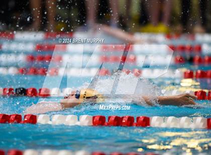 Thumbnail 3 in CHSAA 4A Boys Swimming - State Championship photogallery.