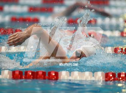 Thumbnail 2 in CHSAA 4A Boys Swimming - State Championship photogallery.