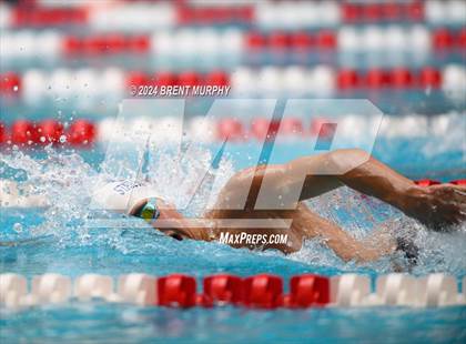 Thumbnail 2 in CHSAA 4A Boys Swimming - State Championship photogallery.