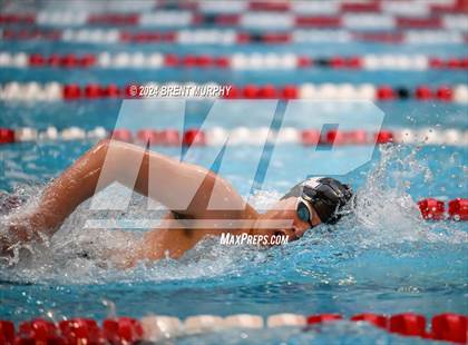 Thumbnail 1 in CHSAA 4A Boys Swimming - State Championship photogallery.