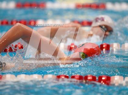 Thumbnail 1 in CHSAA 4A Boys Swimming - State Championship photogallery.