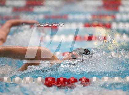 Thumbnail 2 in CHSAA 4A Boys Swimming - State Championship photogallery.