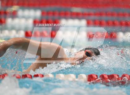 Thumbnail 3 in CHSAA 4A Boys Swimming - State Championship photogallery.