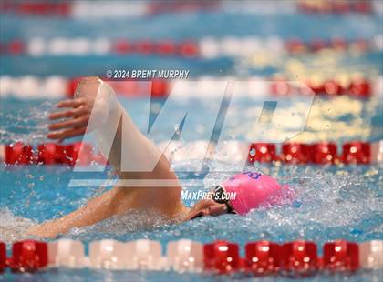 Thumbnail 3 in CHSAA 4A Boys Swimming - State Championship photogallery.