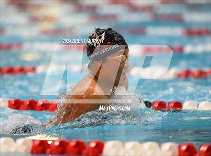 Thumbnail 1 in CHSAA 4A Boys Swimming - State Championship photogallery.