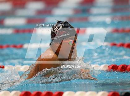Thumbnail 3 in CHSAA 4A Boys Swimming - State Championship photogallery.