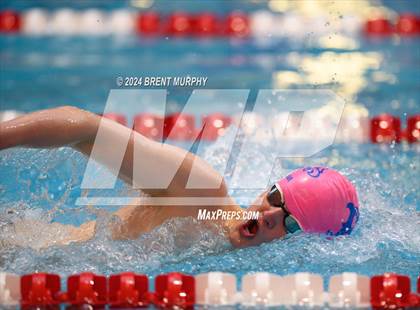 Thumbnail 1 in CHSAA 4A Boys Swimming - State Championship photogallery.