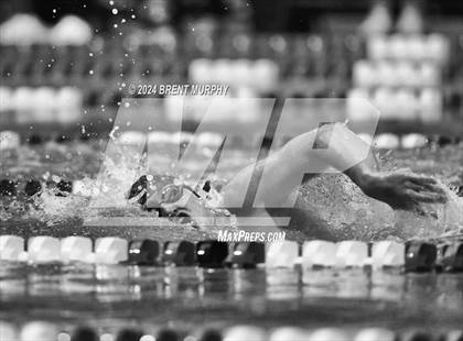 Thumbnail 1 in CHSAA 4A Boys Swimming - State Championship photogallery.