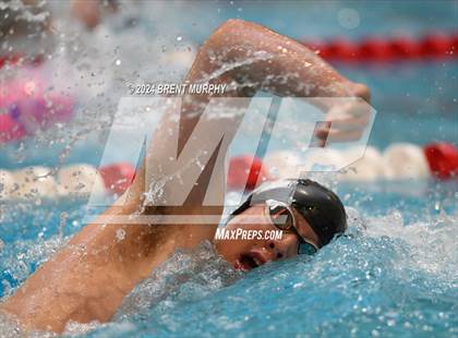 Thumbnail 2 in CHSAA 4A Boys Swimming - State Championship photogallery.