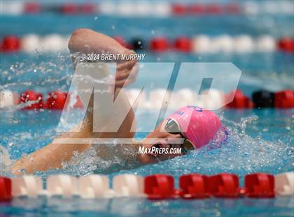 Thumbnail 1 in CHSAA 4A Boys Swimming - State Championship photogallery.