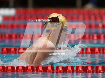 Thumbnail 2 in CHSAA 4A Boys Swimming - State Championship photogallery.