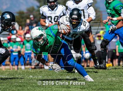 Thumbnail 3 in JV: Westminster @ Doherty photogallery.