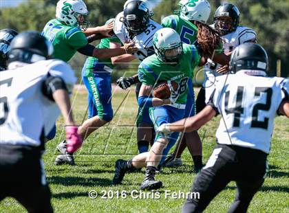 Thumbnail 3 in JV: Westminster @ Doherty photogallery.
