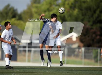 Thumbnail 1 in Borah @ Meridian photogallery.