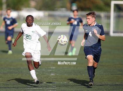 Thumbnail 1 in Borah @ Meridian photogallery.