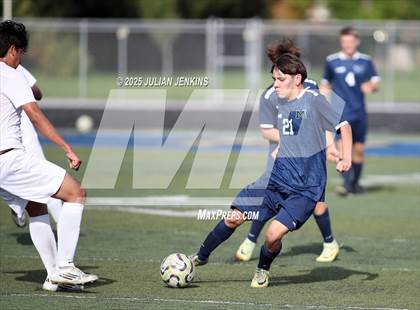 Thumbnail 1 in Borah @ Meridian photogallery.