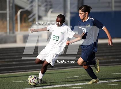 Thumbnail 2 in Borah @ Meridian photogallery.