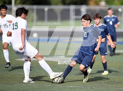 Thumbnail 2 in Borah @ Meridian photogallery.