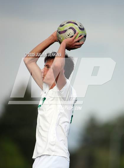 Thumbnail 1 in Borah @ Meridian photogallery.