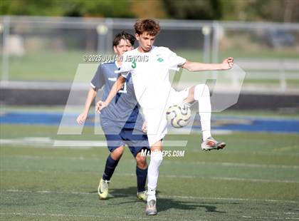 Thumbnail 1 in Borah @ Meridian photogallery.