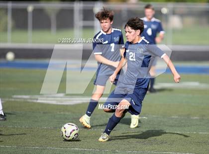 Thumbnail 3 in Borah @ Meridian photogallery.