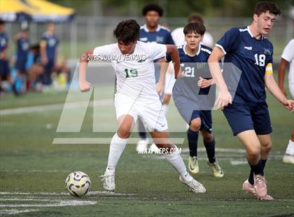 Thumbnail 2 in Borah @ Meridian photogallery.