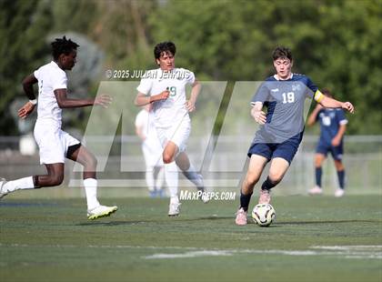 Thumbnail 2 in Borah @ Meridian photogallery.