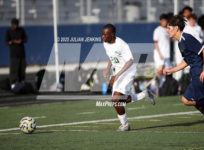 Thumbnail 2 in Borah @ Meridian photogallery.