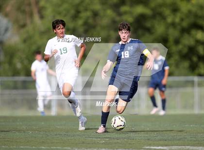 Thumbnail 1 in Borah @ Meridian photogallery.