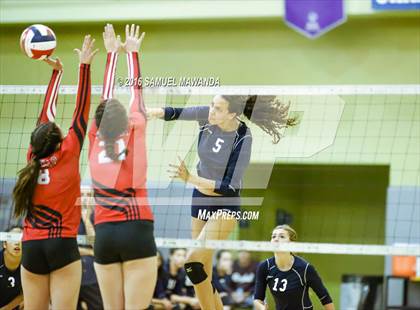 Thumbnail 1 in Venice vs Cleveland (CIF LACS Final) photogallery.