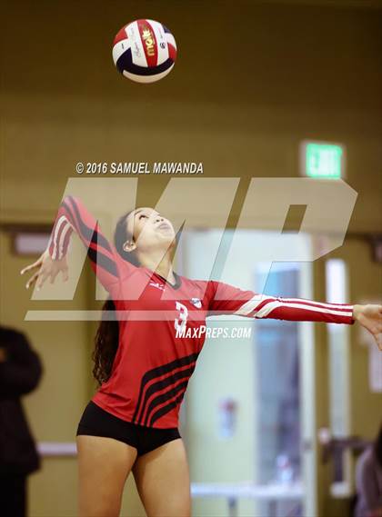 Thumbnail 3 in Venice vs Cleveland (CIF LACS Final) photogallery.