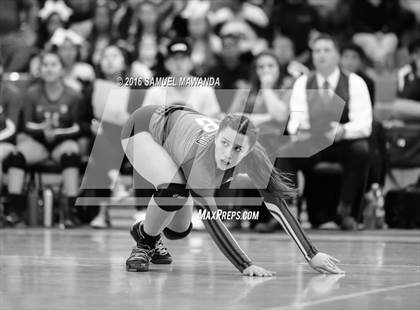 Thumbnail 3 in Venice vs Cleveland (CIF LACS Final) photogallery.