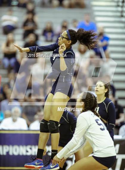 Thumbnail 2 in Venice vs Cleveland (CIF LACS Final) photogallery.