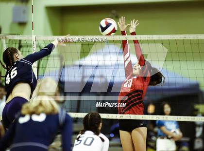 Thumbnail 1 in Venice vs Cleveland (CIF LACS Final) photogallery.