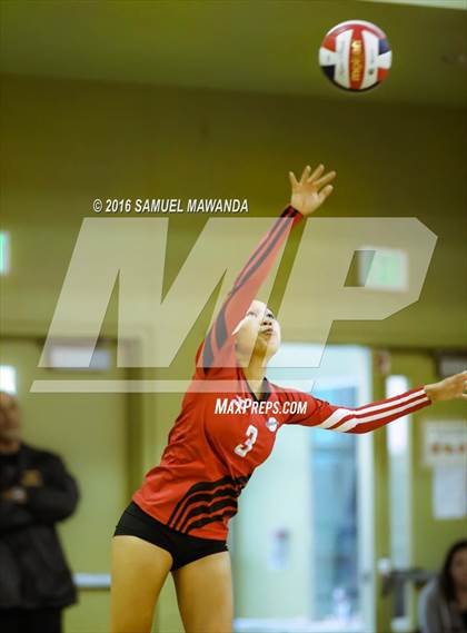 Thumbnail 1 in Venice vs Cleveland (CIF LACS Final) photogallery.