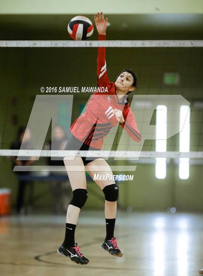 Thumbnail 2 in Venice vs Cleveland (CIF LACS Final) photogallery.