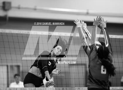 Thumbnail 1 in Venice vs Cleveland (CIF LACS Final) photogallery.
