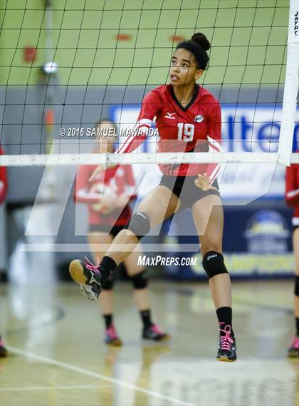 Thumbnail 2 in Venice vs Cleveland (CIF LACS Final) photogallery.