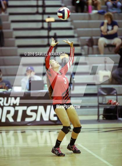 Thumbnail 2 in Venice vs Cleveland (CIF LACS Final) photogallery.