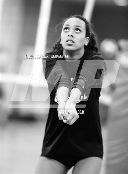 Thumbnail 1 in Venice vs Cleveland (CIF LACS Final) photogallery.