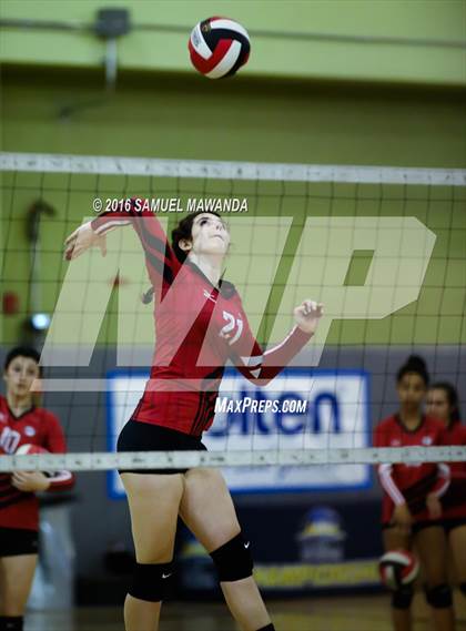 Thumbnail 2 in Venice vs Cleveland (CIF LACS Final) photogallery.
