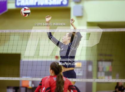 Thumbnail 1 in Venice vs Cleveland (CIF LACS Final) photogallery.