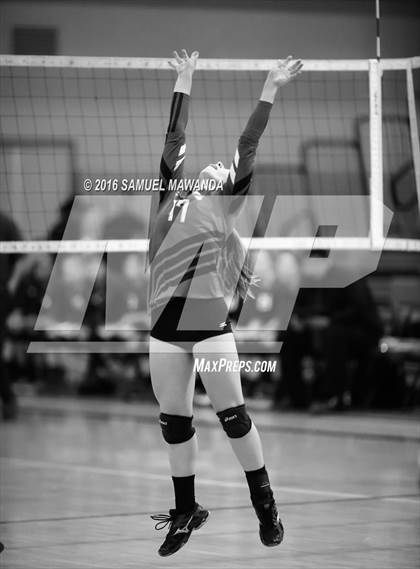Thumbnail 3 in Venice vs Cleveland (CIF LACS Final) photogallery.