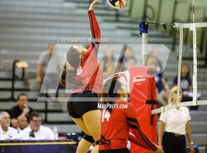 Thumbnail 1 in Venice vs Cleveland (CIF LACS Final) photogallery.