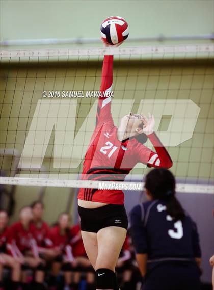 Thumbnail 2 in Venice vs Cleveland (CIF LACS Final) photogallery.