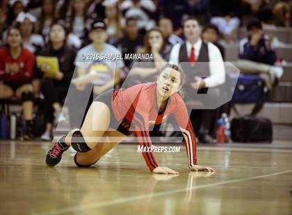 Thumbnail 2 in Venice vs Cleveland (CIF LACS Final) photogallery.
