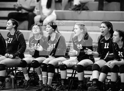 Thumbnail 1 in Venice vs Cleveland (CIF LACS Final) photogallery.