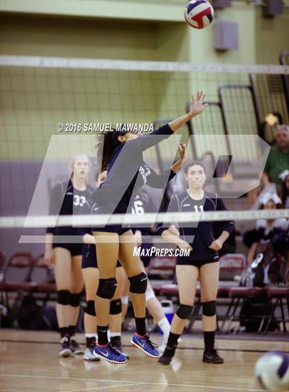 Thumbnail 2 in Venice vs Cleveland (CIF LACS Final) photogallery.