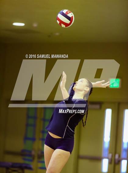 Thumbnail 1 in Venice vs Cleveland (CIF LACS Final) photogallery.